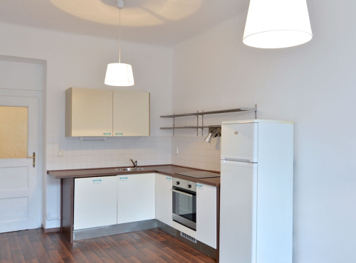 Sunny 1 bedroom apartment, Prague 3 - Vinohrady