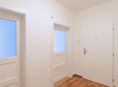 Sunny 1 bedroom apartment, Prague 3 - Vinohrady