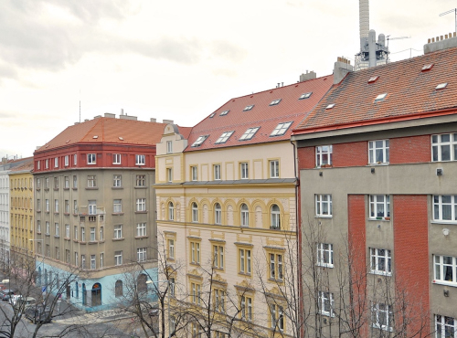 Sunny 1 bedroom apartment, Prague 3 - Vinohrady