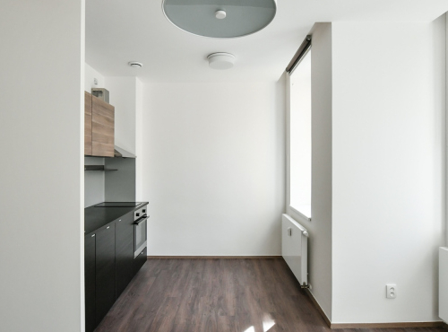 Moderní byt 1+kk, Praha 3 - Vinohrady