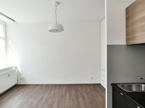 Moderní byt 1+kk, Praha 3 - Vinohrady