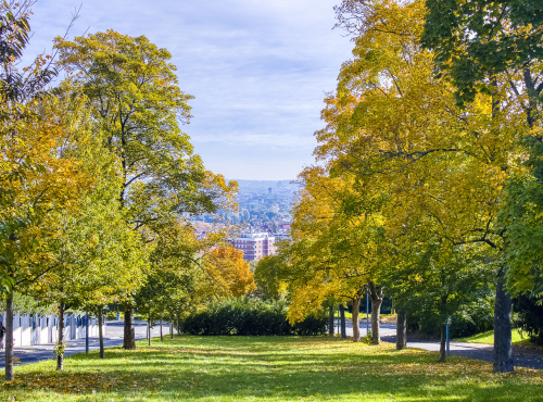 Prodej - Byt 2+kk v projektu Hanspaulka Living, Praha 6