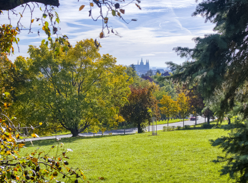 Prodej - Byt 2+kk v projektu Hanspaulka Living, Praha 6