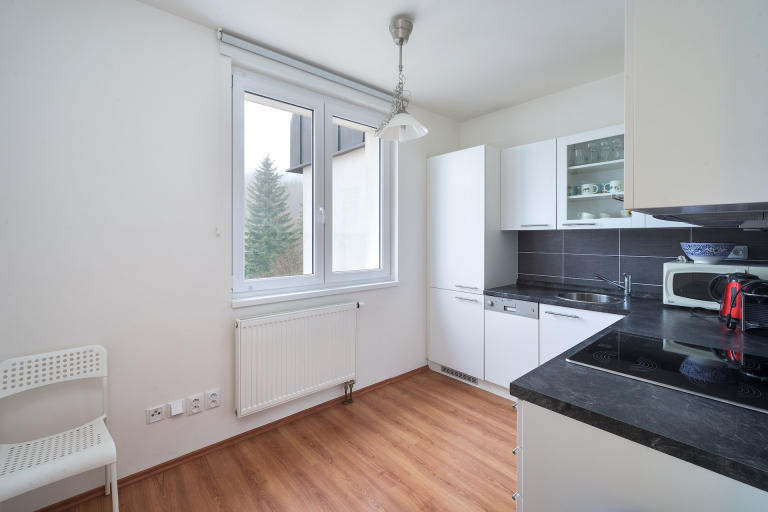 Byt 2+1 s balkonem, Špindlerův Mlýn - Bedřichov