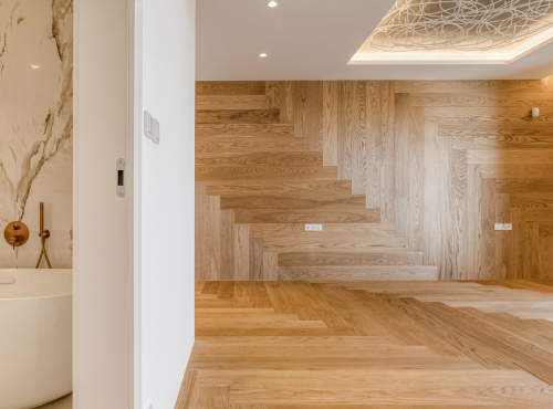 Three bedroom apartment with private wellness, Prague 7 - Holešovice