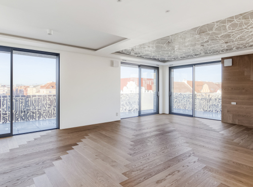 Three bedroom apartment with private wellness, Prague 7 - Holešovice